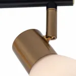Спот Arte Lamp Falena A3117PL-2BK Цвет арматуры Черный Цвет плафонов Белый от ImperiumLoft