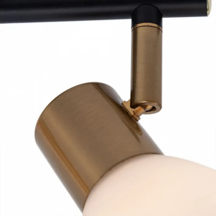Спот Arte Lamp Falena A3117PL-2BK Цвет арматуры Черный Цвет плафонов Белый от ImperiumLoft