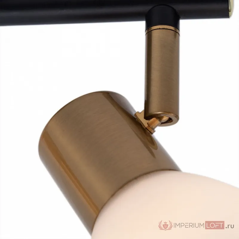 Спот Arte Lamp Falena A3117PL-2BK Цвет арматуры Черный Цвет плафонов Белый от ImperiumLoft