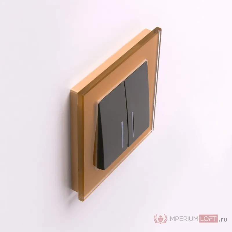 Выключатель двухклавишный с подсветкой без рамки Werkel W112 W1120108 от ImperiumLoft