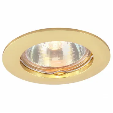 Встраиваемый светильник Arte Lamp Basic A2103PL-1GO Цвет арматуры золото Цвет плафонов белый