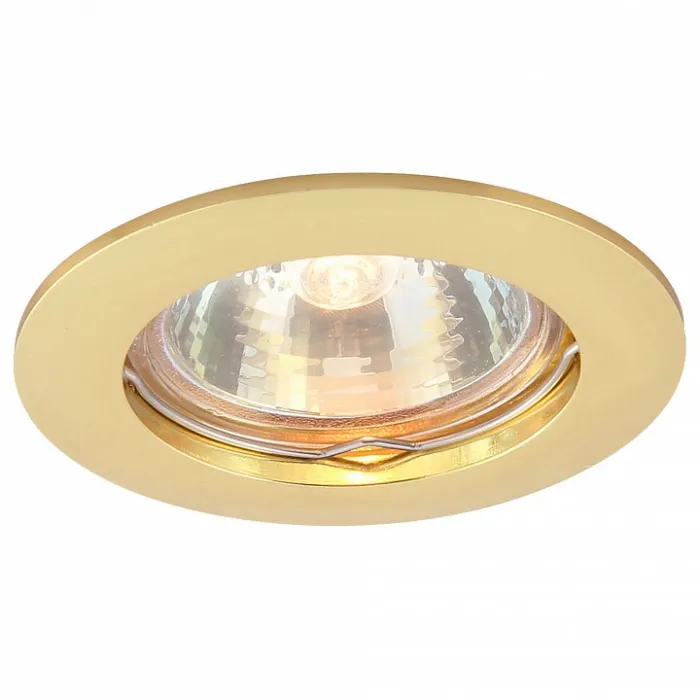 Встраиваемый светильник Arte Lamp Basic A2103PL-1GO Цвет арматуры золото Цвет плафонов белый от ImperiumLoft