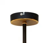 Люстра на штанге Roxana TL1194X-08BK Toplight