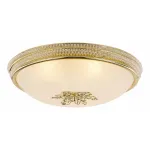 Потолочный светильник Arte Lamp Vassolo A9205PL-5GO