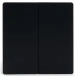 Выключатель беспроводной двухклавишный Feron Tm 82 41723 от ImperiumLoft