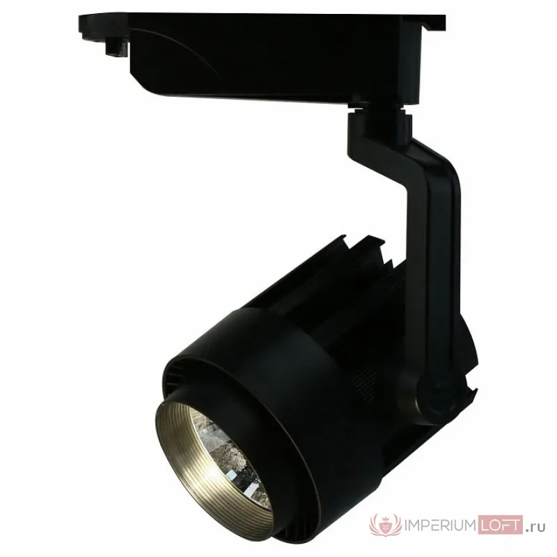 Светильник на штанге Arte Lamp Track Lights A1630PL-1BK Цвет арматуры черный Цвет плафонов черный от ImperiumLoft