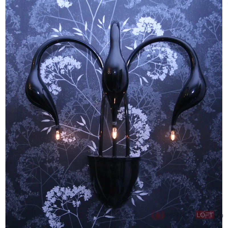 Бра Lightstar Cigno Collo 751637 Цвет арматуры черный от ImperiumLoft