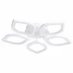 Накладной светильник Arte Lamp Polli A2531PL-5WH