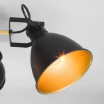 Потолочная люстра Eurosvet Denley 70112/5 черный Цвет арматуры черный Цвет плафонов золото от ImperiumLoft