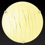 Потолочный светильник TopLight Xithi TL9291Y-02YE 