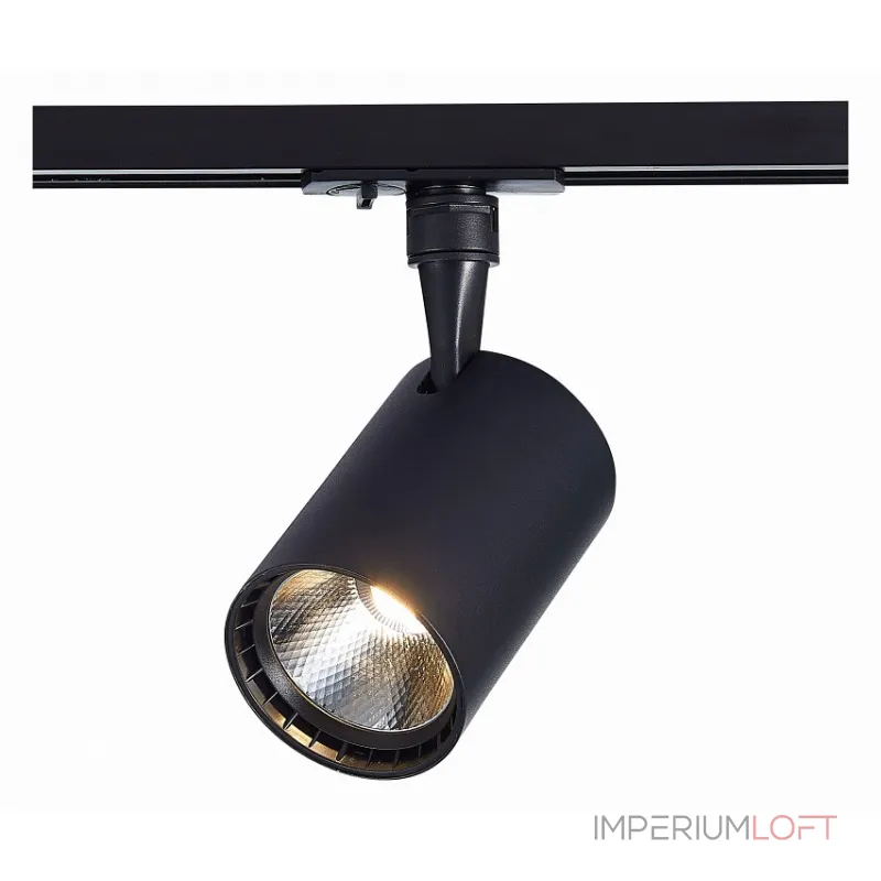 Светильник на штанге ST-Luce Cami ST351.436.30.36 Цвет арматуры черный Цвет плафонов черный
