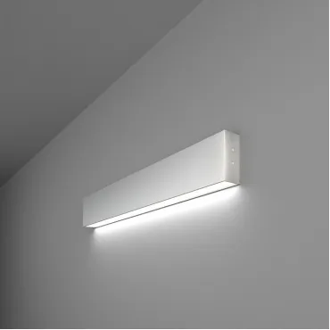 Накладной светильник Elektrostandard 101-100-30-53 a041488 Цвет арматуры серебро