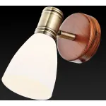 Спот TopLight Sharyl TL3720Y-01BB Цвет арматуры бронза Цвет плафонов белый
