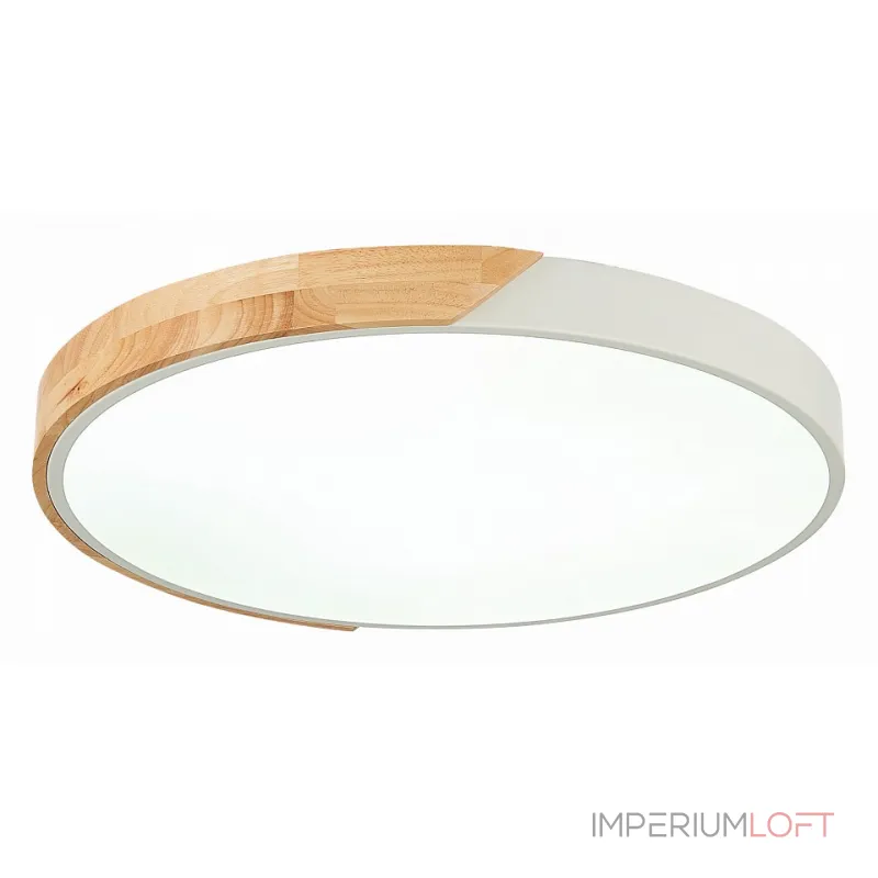 Потолочный светильник EVOLUCE Festa SLE200952-01 