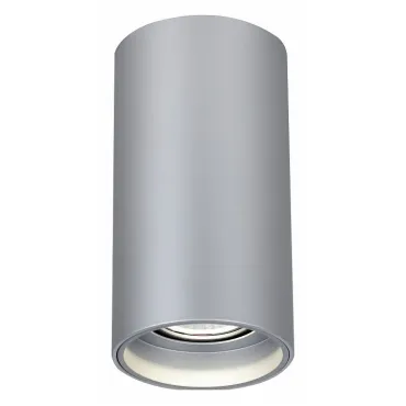 Накладной светильник Favourite Stirpe 2797-1U Цвет арматуры серебро Цвет плафонов серебро
