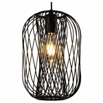 Подвесной светильник Debra TL1189H-01BK Toplight
