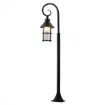 Наземный высокий светильник Arte Lamp Persia 2 A1466PA-1RI Цвет арматуры черный Цвет плафонов прозрачный