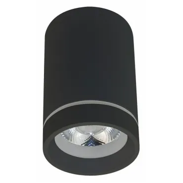 Накладной светильник Aployt Edda APL.0053.19.10 Цвет плафонов черный