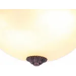 Потолочный светильник Arte Lamp Piatti A8007PL-2CK 