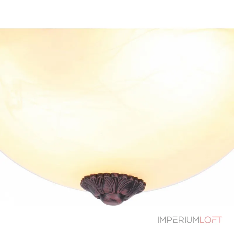Потолочный светильник Arte Lamp Piatti A8007PL-2CK 