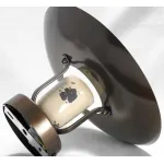 Накладной светильник Lussole LOFT LSP-8161