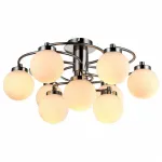 Потолочная люстра Arte Lamp Cloud A8170PL-9SS 