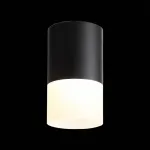 Накладной светильник ST-Luce Ottu ST100.442.10 Цвет арматуры черный Цвет плафонов белый от ImperiumLoft