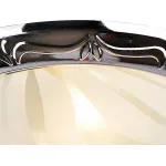 Потолочный светильник Arte Lamp Alta A3008PL-2CC 
