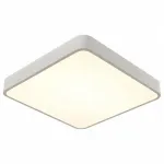 Накладной светильник Arte Lamp A2663PL A2663PL-1WH