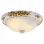Накладной светильник Arte Lamp Torta A7102PL-2WG Цвет арматуры золото Цвет плафонов белый от ImperiumLoft