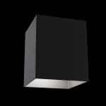 Накладной светильник Maytoni Alfa C015CL-01B Цвет арматуры черный от ImperiumLoft