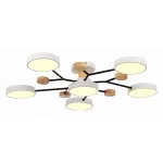Потолочная люстра EVOLUCE Faema SLE6006-502-06 от ImperiumLoft