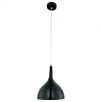 Подвесной светильник Arte Lamp Pendants 2 A9077SP-1BK 