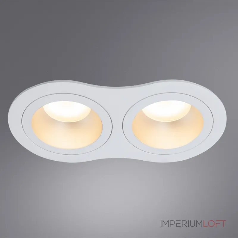 Встраиваемый светильник Arte Lamp Alkes A2161PL-2WH Цвет арматуры Белый Встраиваемый светильник Arte Lamp Alkes A2161PL-2WH Цвет арматуры Белый