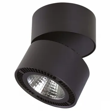 Светильник на штанге Lightstar Forte Muro LED 213837 Цвет плафонов черный Цвет арматуры черный от ImperiumLoft