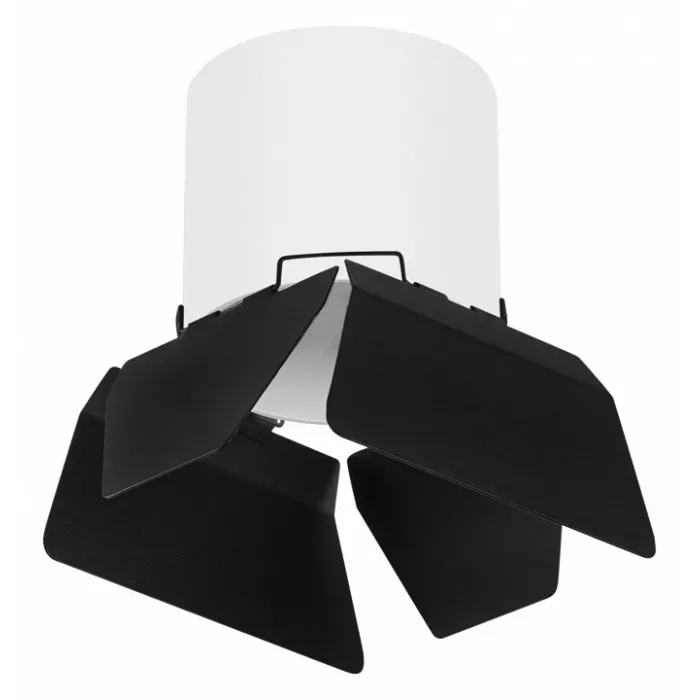 Накладной светильник Lightstar Rullo R3486487 от ImperiumLoft