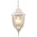 Подвесной светильник Arte Lamp Pegasus A3151SO-1WG Цвет арматуры золото Цвет плафонов прозрачный от ImperiumLoft