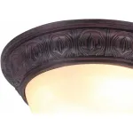Потолочный светильник Arte Lamp Piatti A8007PL-2CK 