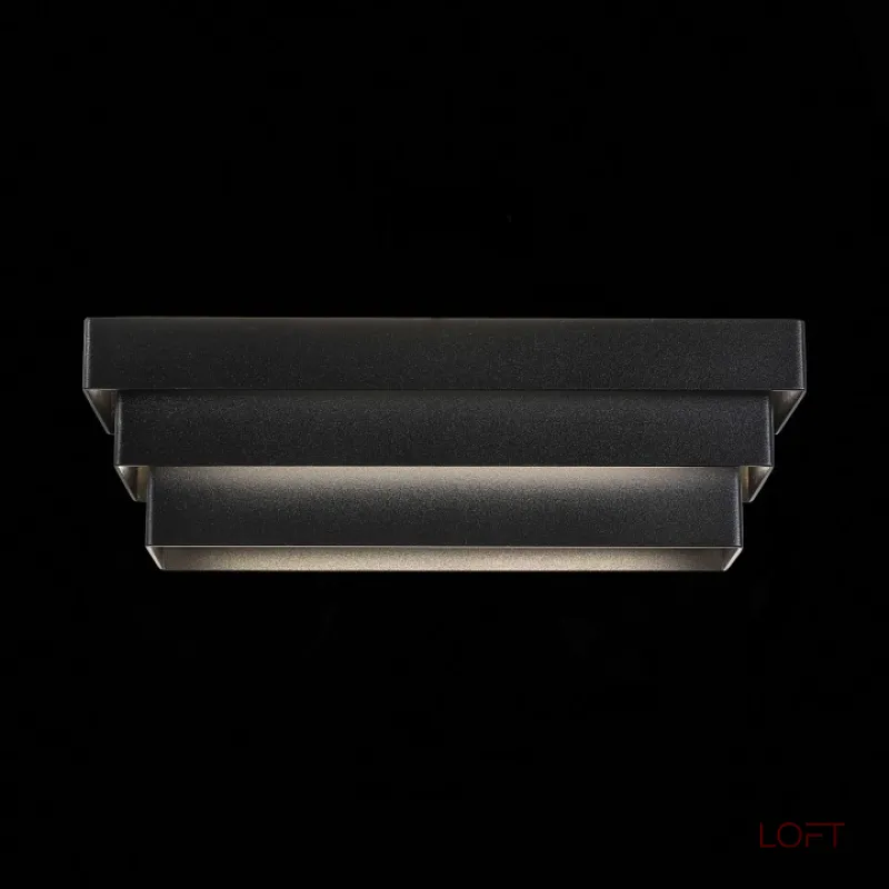 Накладной светильник ST-Luce Grecci SL1588.401.01 Цвет арматуры черный Цвет плафонов белый