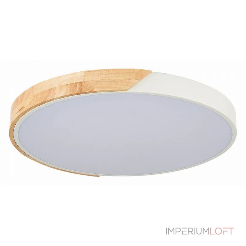 Потолочный светильник EVOLUCE Festa SLE200952-01 