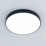 Потолочный светильник Citilux Купер CL72495G1