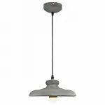 Подвесной светильник Arte Lamp Loft A5025SP-1BG 