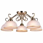 Потолочная люстра Arte Lamp A1221PL-5AB 