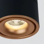Накладной светильник Elektrostandard DLR031 15W 4200K a050528 Цвет арматуры черный Цвет плафонов золото от ImperiumLoft