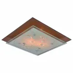 Потолочный светильник Arte Lamp Tiana A4042PL-2CC 