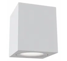 Потолочный светильник Technical C013CL-01W