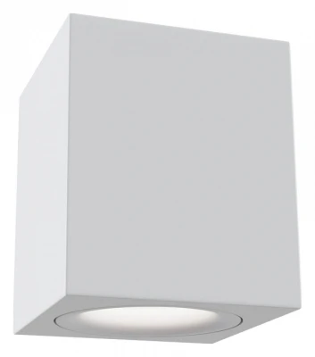 Потолочный светильник Technical C013CL-01W