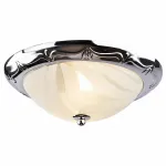 Потолочный светильник Arte Lamp Alta A3008PL-2CC 