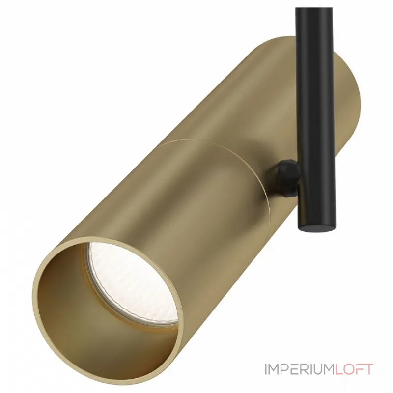 Спот Maytoni Elti C020CL-01GB Цвет арматуры черный Цвет плафонов золото Спот Maytoni Elti C020CL-01GB Цвет арматуры черный Цвет плафонов золото
