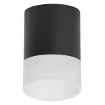 Накладной светильник Lightstar Rullo R348781